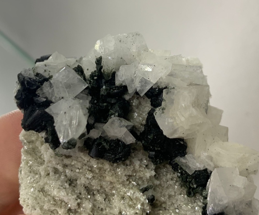 WhatsApp Image 2024-02-19 at 17.45.09.jpeg