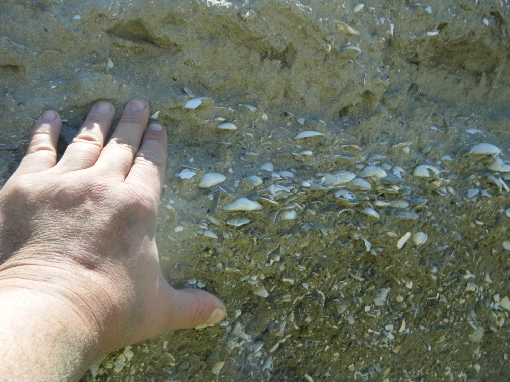 kallo_juillet_2013 (1).JPG