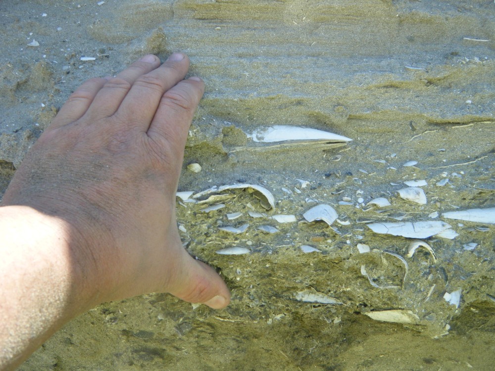 kallo_juillet_2013 (2).JPG