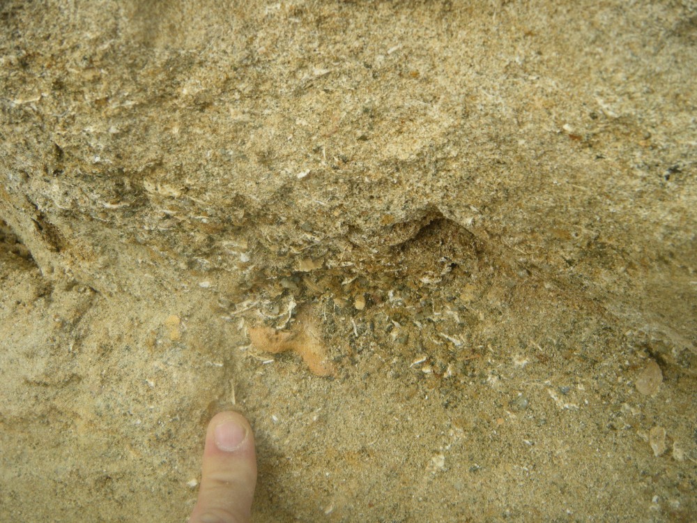 vesly_15_07_2023 (33).JPG