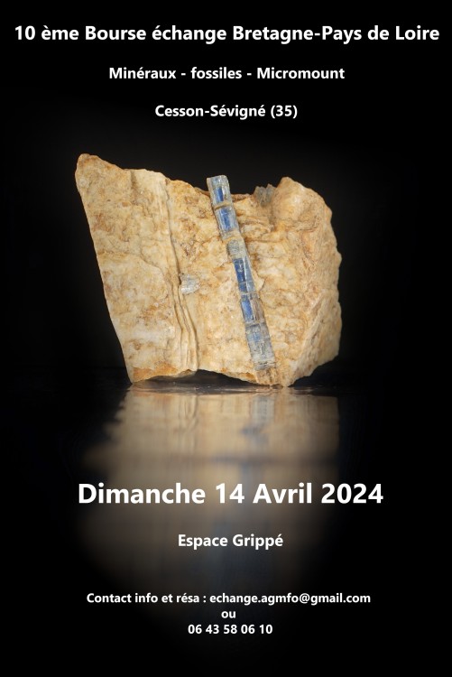 Affiche bourse echange cesson 2024.JPG