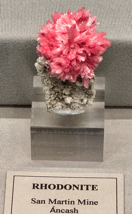 Capture d’écran 2024-03-11 à 22.49.31.png