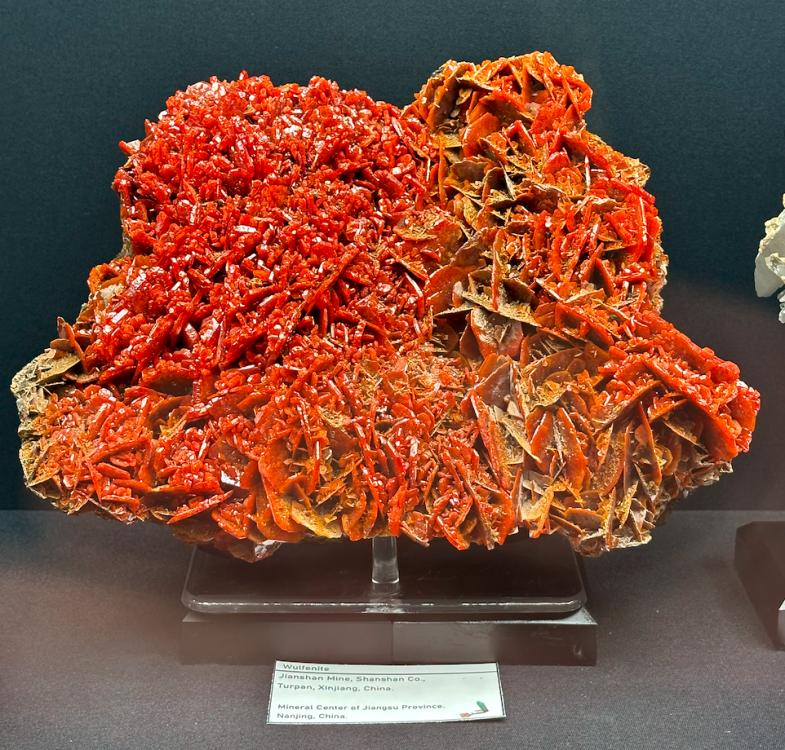 Capture d’écran 2024-03-11 à 22.57.57.png