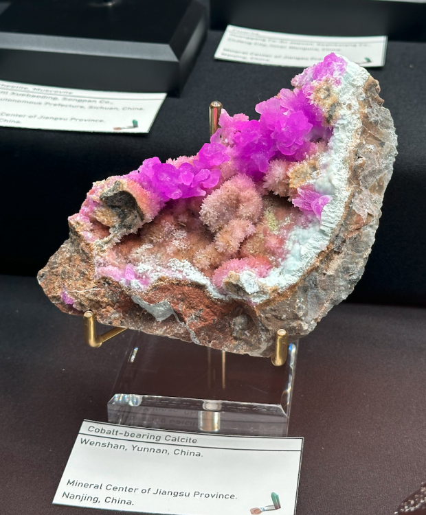 Capture d’écran 2024-03-11 à 22.58.18.png