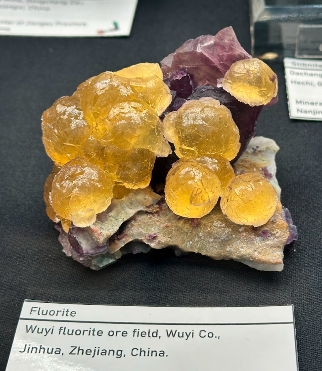 Capture d’écran 2024-03-11 à 22.59.19.png