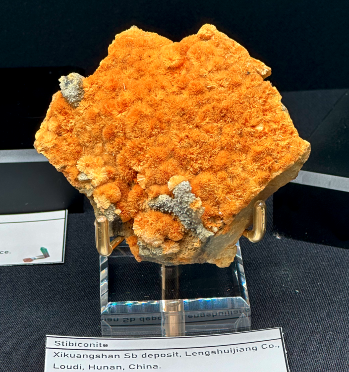 Capture d’écran 2024-03-11 à 22.59.41.png