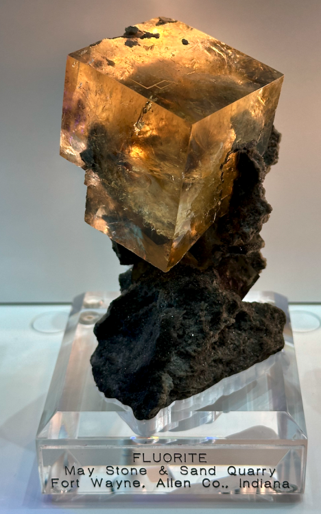 Capture d’écran 2024-03-13 à 23.36.29.png