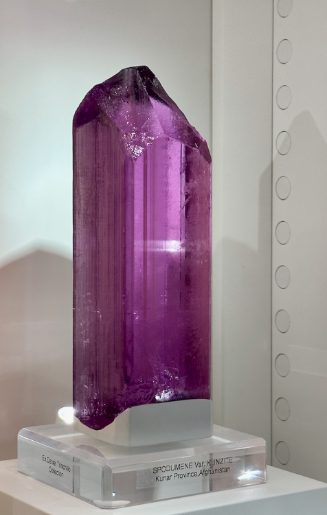 Capture d’écran 2024-03-13 à 23.36.39.png