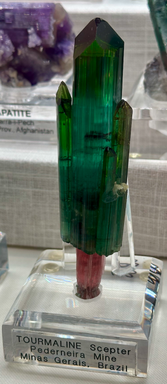 Capture d’écran 2024-03-13 à 23.38.46.png