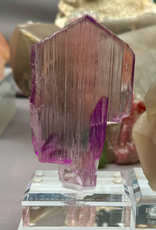 Capture d’écran 2024-03-15 à 23.45.50.png