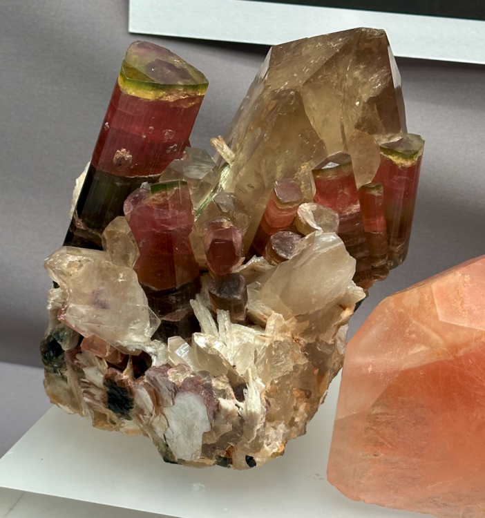 Capture d’écran 2024-03-15 à 23.46.05.png