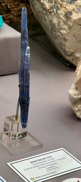 Capture d’écran 2024-03-15 à 23.48.43.png