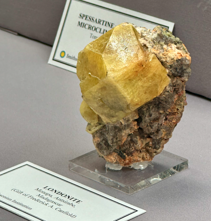 Capture d’écran 2024-03-15 à 23.50.31.png