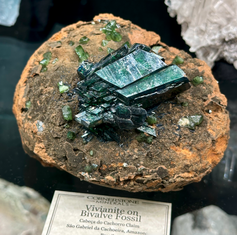 Capture d’écran 2024-03-15 à 23.54.38.png