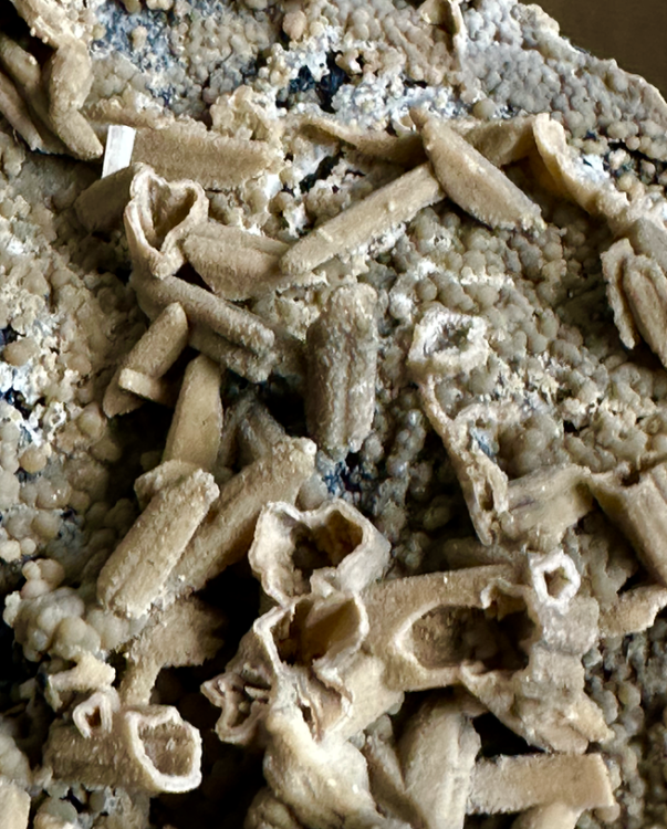 Capture d’écran 2024-03-16 à 20.56.25.png