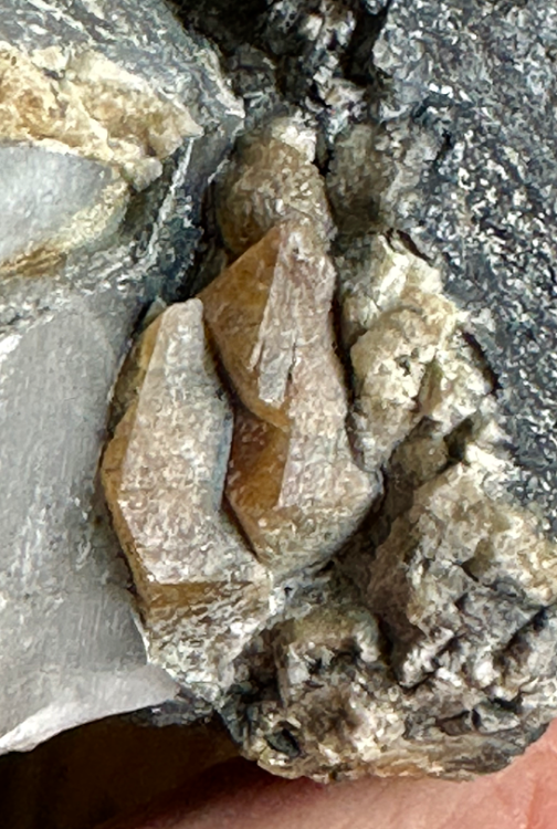 Capture d’écran 2024-03-19 à 22.58.02.png