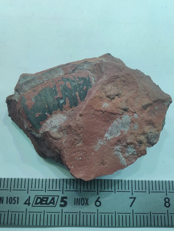 IMG_20240326_144106 (1).jpg