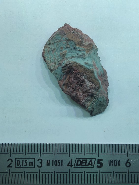 IMG_20240326_144247 (1).jpg