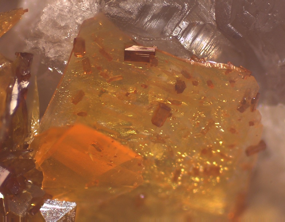 Maroc2023 ABL 54X40 S14.jpg