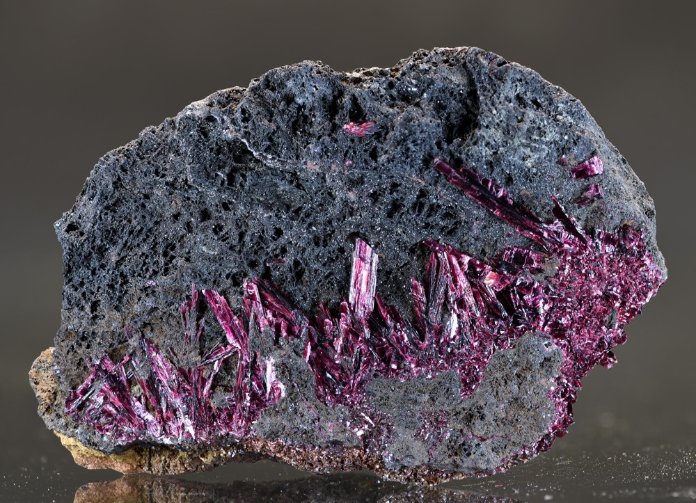 Maroc2024 BA2 Eryt s6.jpg