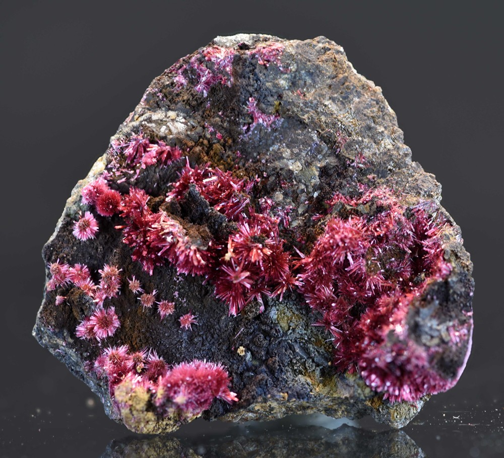 Maroc 2024 BA Eryt s6.jpg