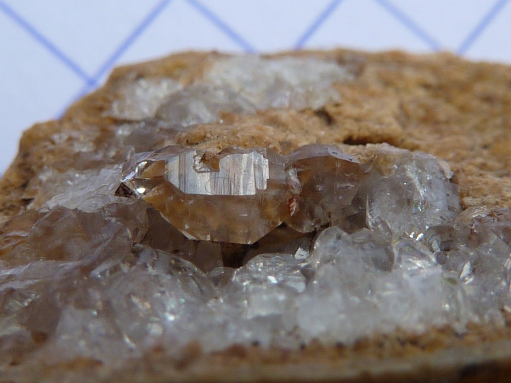 brachiocalcite005.thumb.JPG.fe17ebc9407008f89ce63ed4613a62ff.JPG