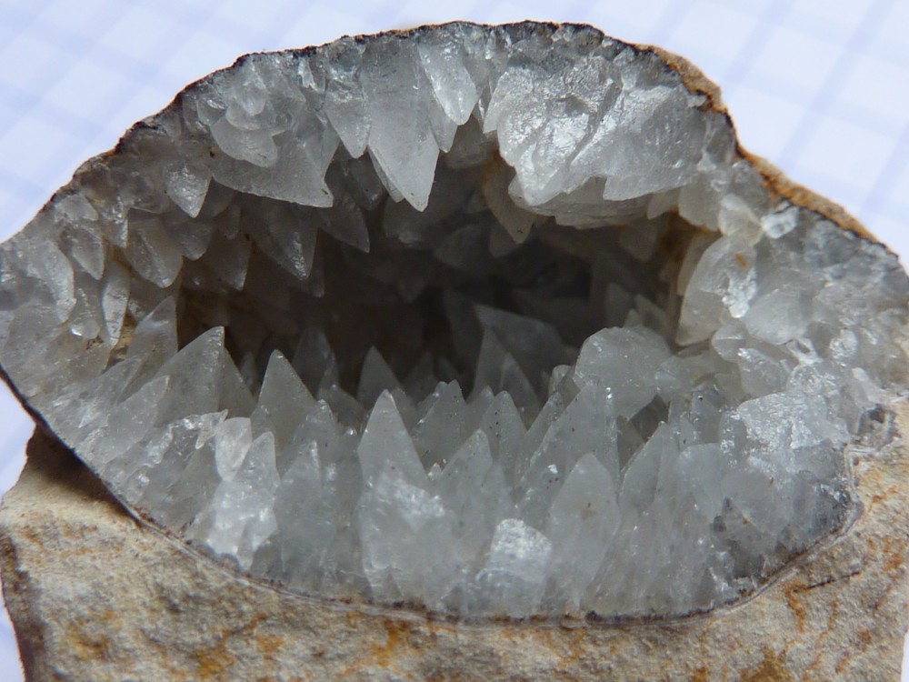 brachiocalcite024.thumb.JPG.74cb89d7b0d3fba42ceffd1df00ffe8f.JPG