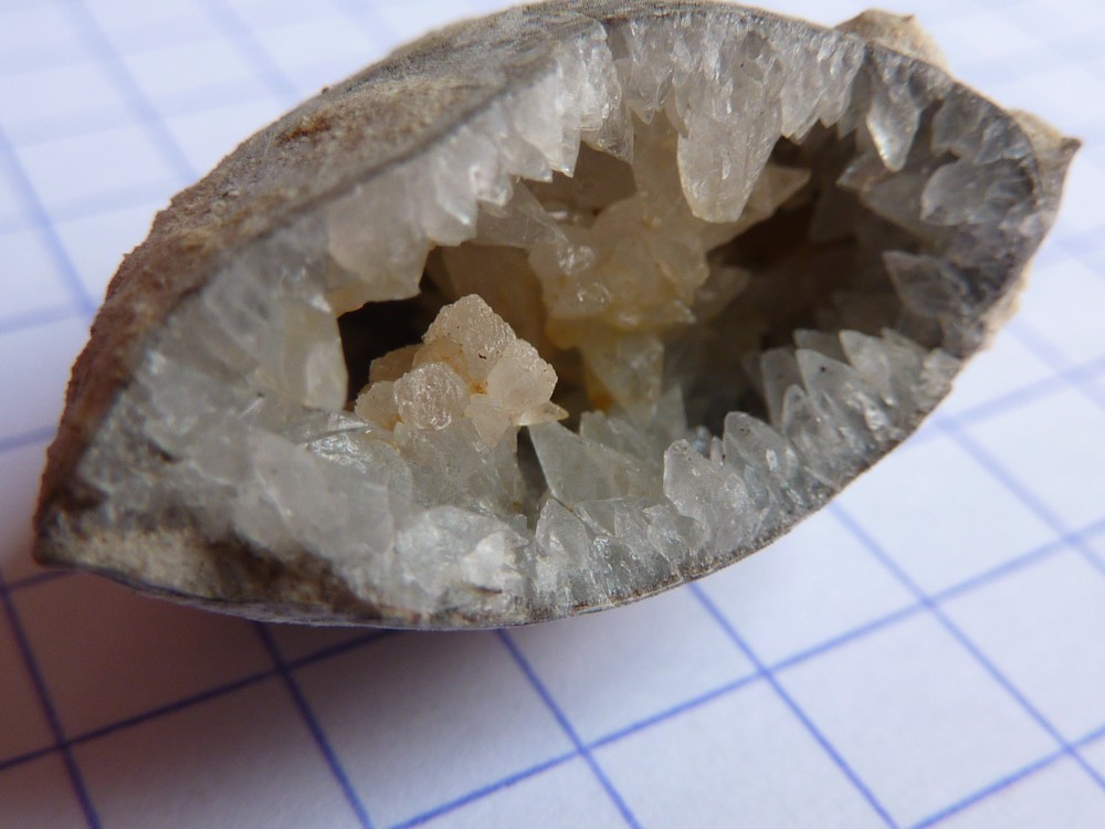 brachiocalcite045.thumb.JPG.0493554ea906f5137e1523271f73d7b6.JPG