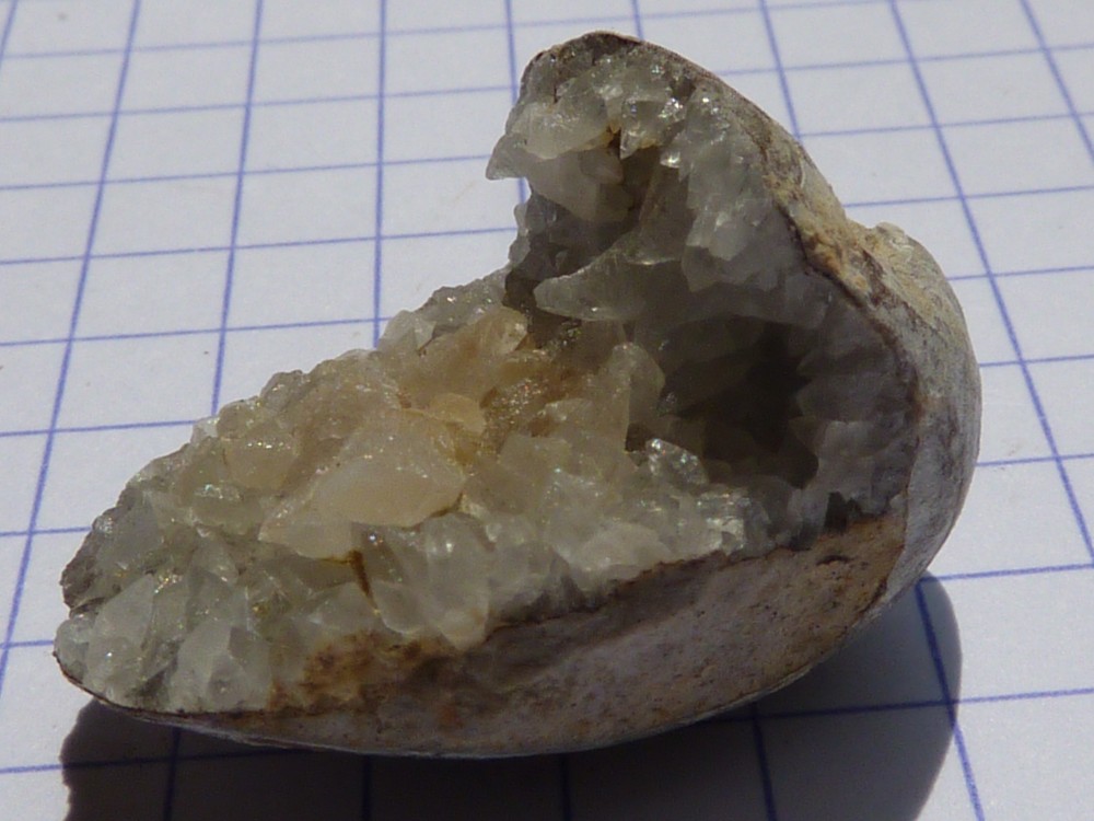 brachiocalcite140.thumb.JPG.d7b3df3f81deb596c736772fbb2badb0.JPG