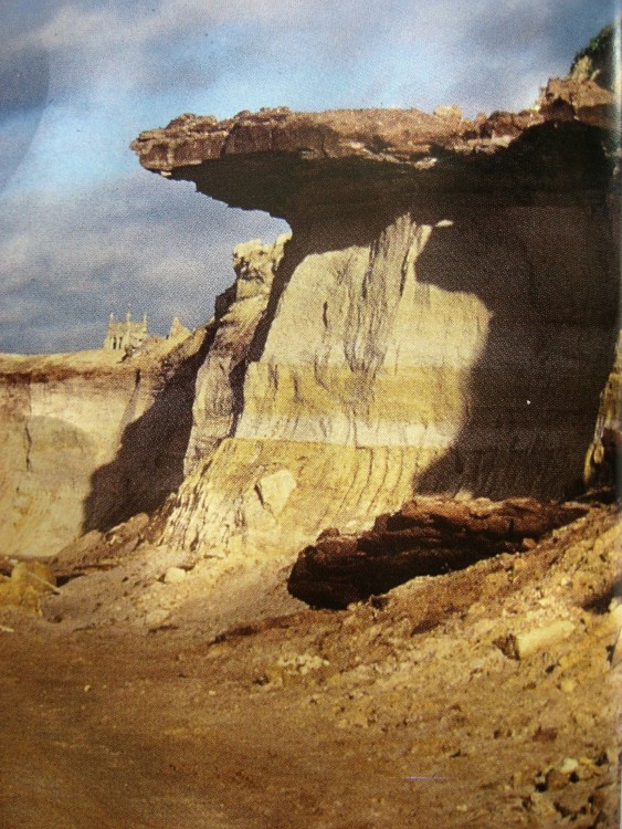 carriere a fossile a Attainville 95-1.JPG