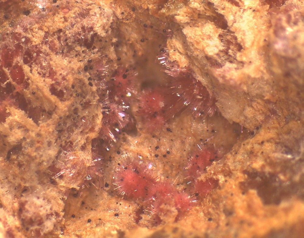 smam2022 37x28 s8.jpg