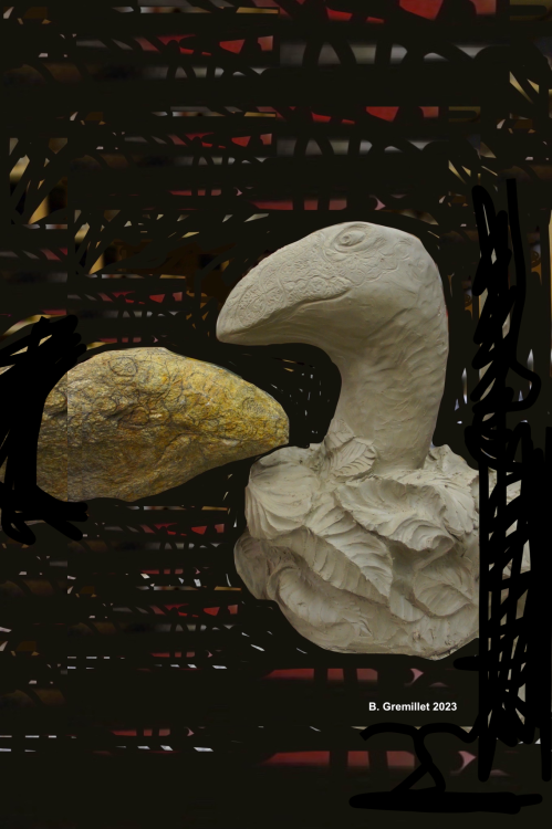 23 oiseau à écaille 2 insta.jpg