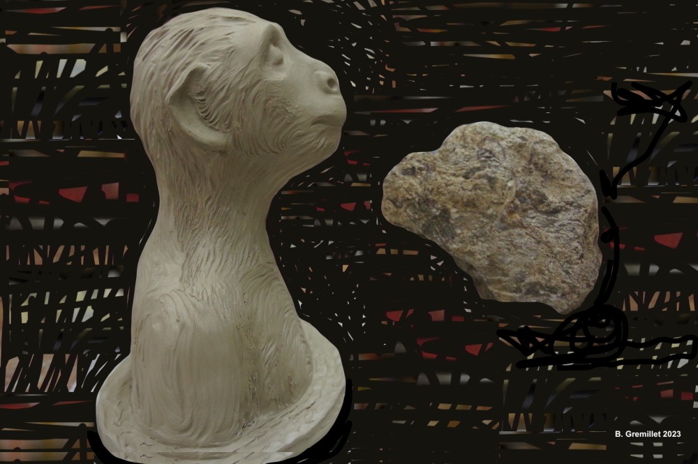 25 Singe au bain.jpg