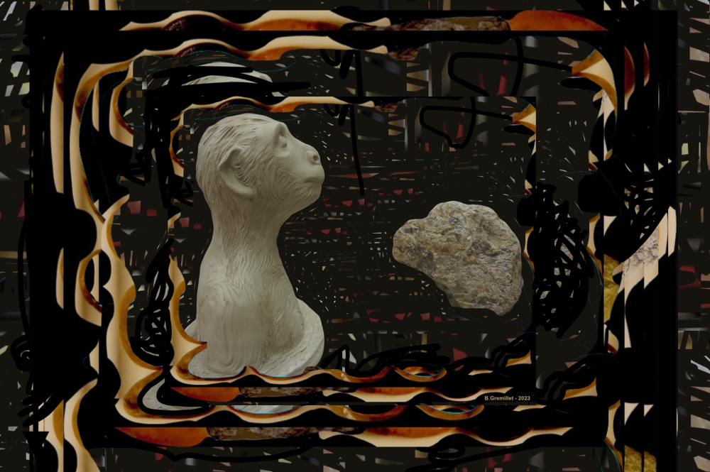 25 singe au bain insta.jpg