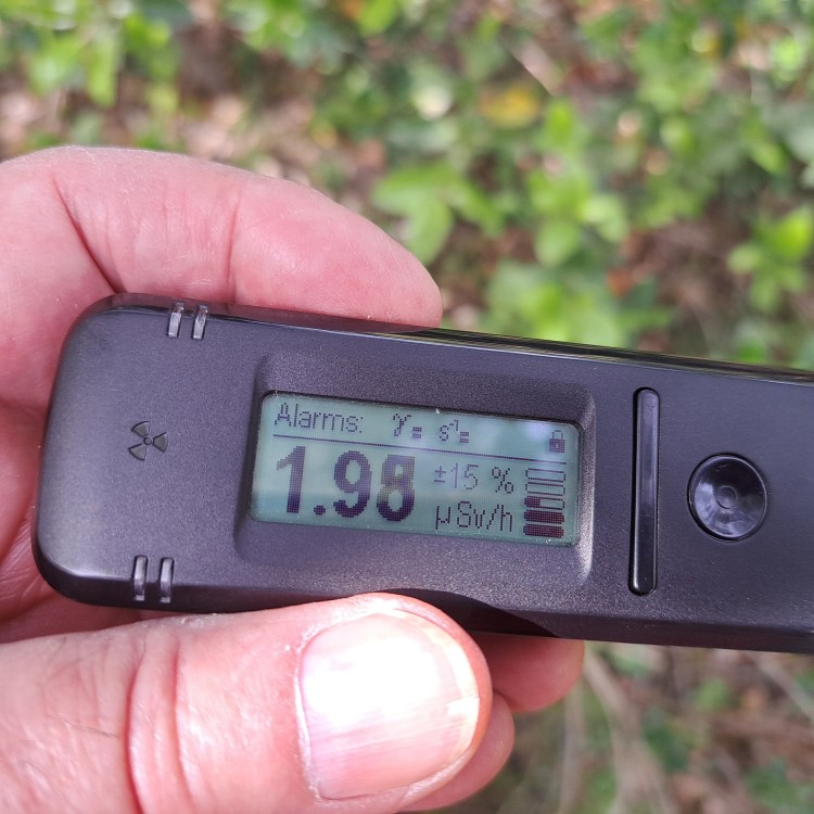 Campagnac en dehors du grillage.jpg