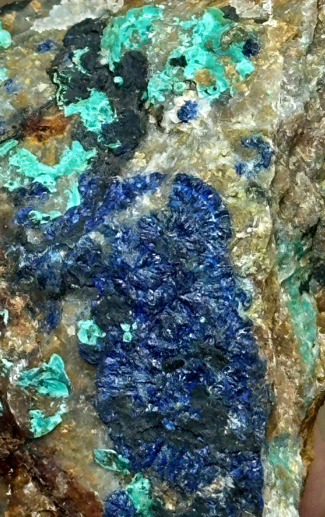 Capture d’écran 2024-04-25 à 00.26.18.png