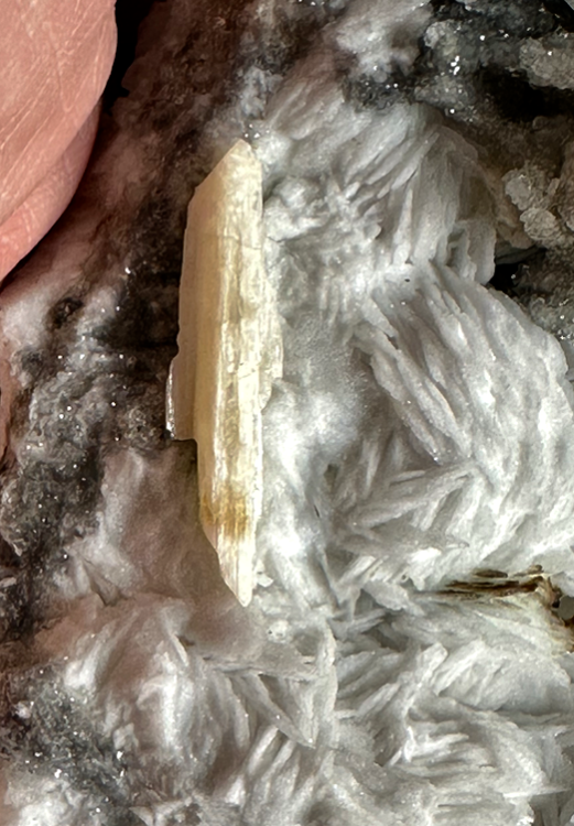 Capture d’écran 2024-04-25 à 17.42.13.png