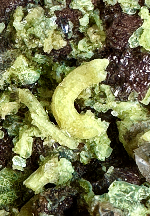 Capture d’écran 2024-04-25 à 18.05.31.png