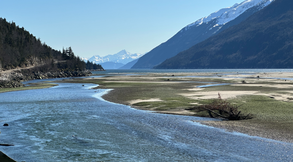 Capture d’écran 2024-04-26 à 23.44.43.png