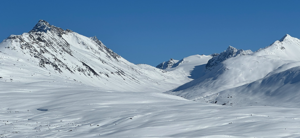 Capture d’écran 2024-04-27 à 00.36.43.png