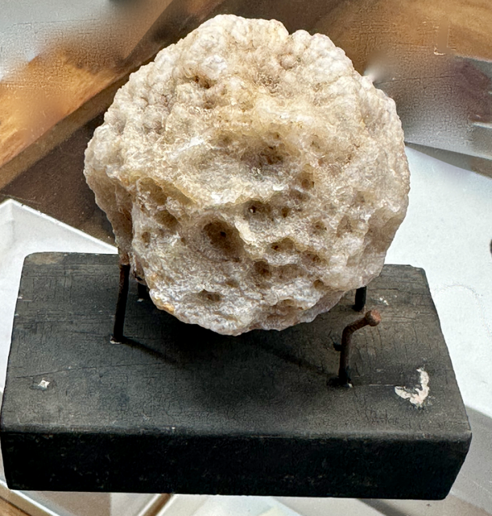 Capture d’écran 2024-04-27 à 11.57.44.png