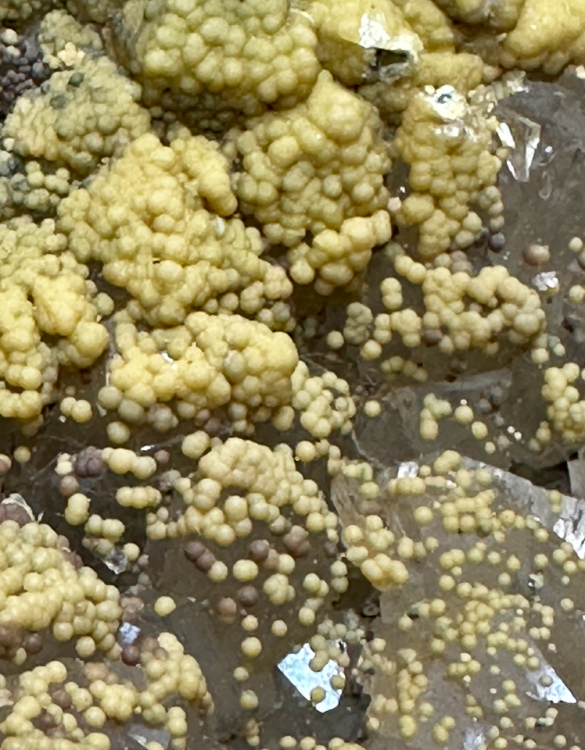 Capture d’écran 2024-04-27 à 12.11.34.png