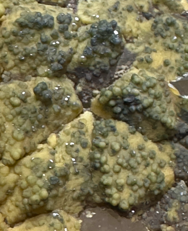 Capture d’écran 2024-04-27 à 12.11.50.png