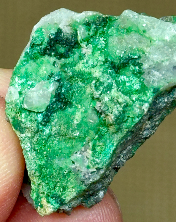 Capture d’écran 2024-04-27 à 12.18.04.png