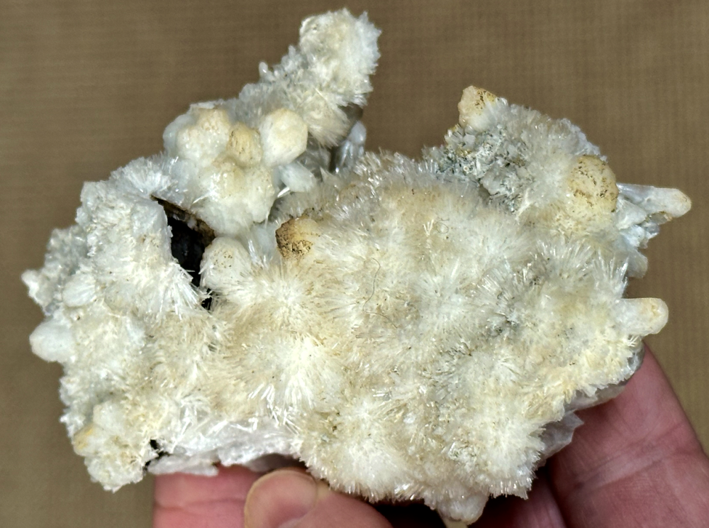 Capture d’écran 2024-04-29 à 10.47.39.png