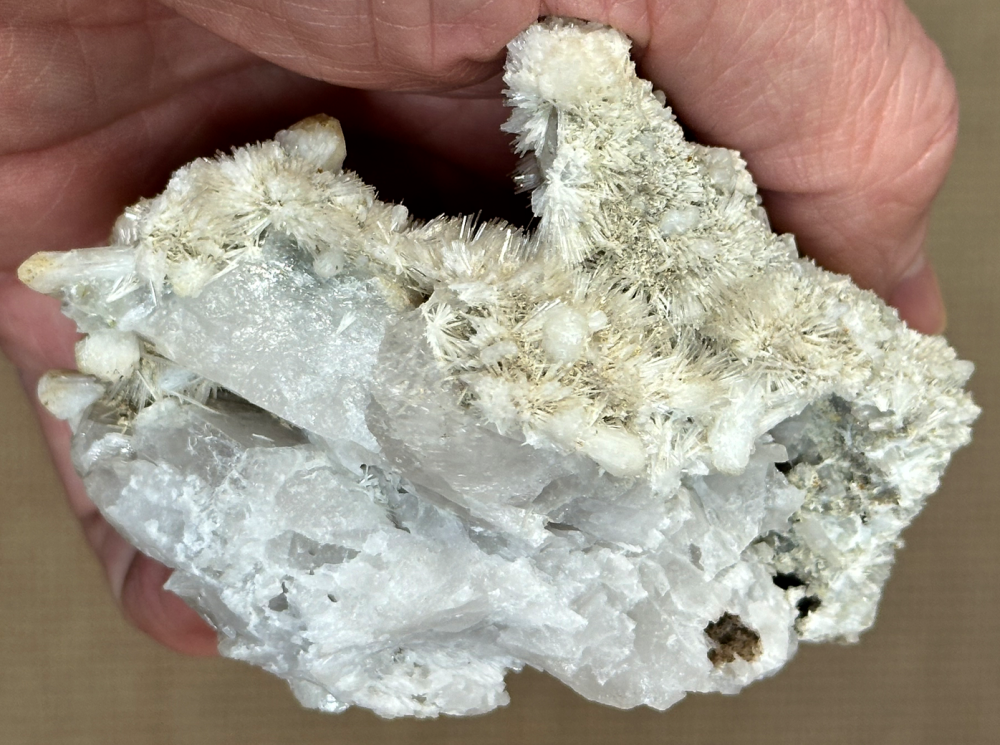 Capture d’écran 2024-04-29 à 10.47.59.png