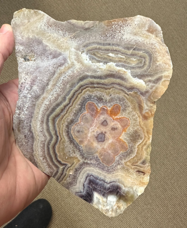 Capture d’écran 2024-04-29 à 10.48.26.png