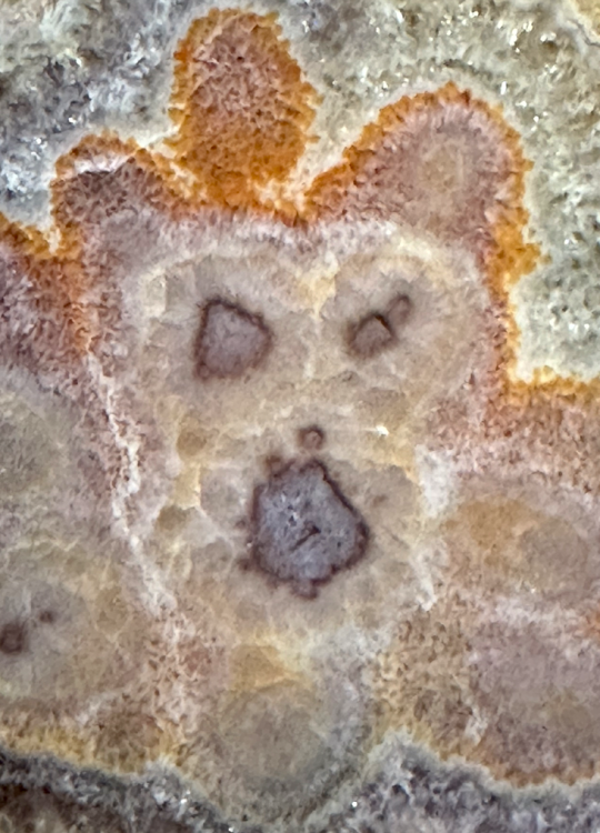 Capture d’écran 2024-04-29 à 10.48.36.png