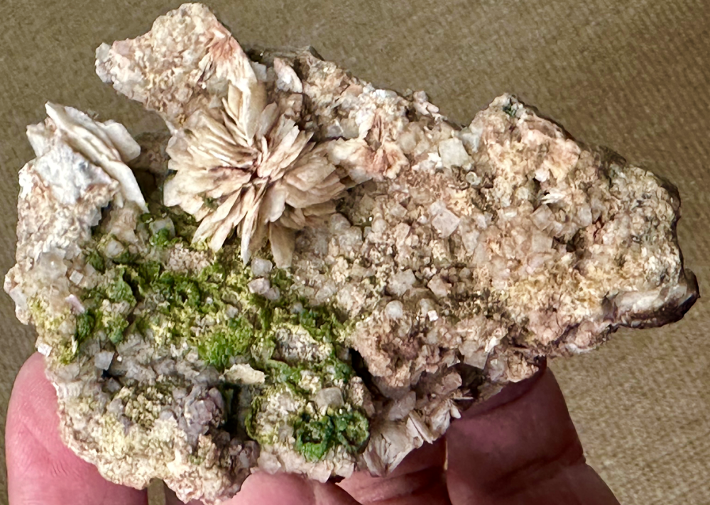 Capture d’écran 2024-04-29 à 10.49.09.png