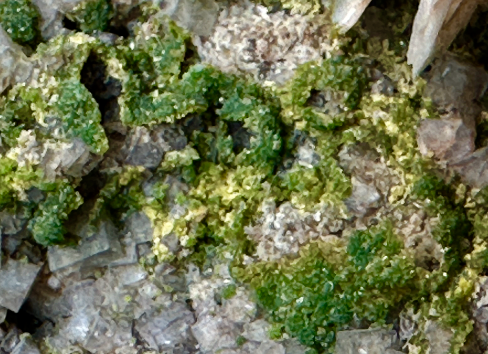 Capture d’écran 2024-04-29 à 10.49.28.png